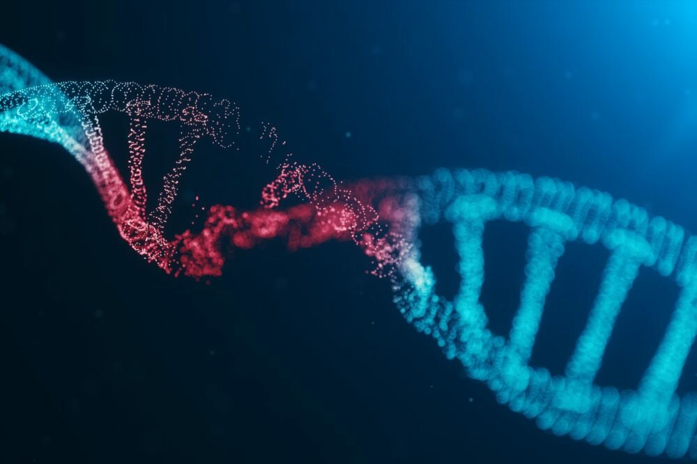 All Genomes Are Dysfunctional: Broken Genes in Healthy Individuals